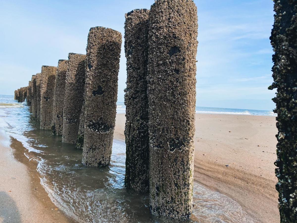 Vakantiehuis Domburg Do33 Kültér fotó